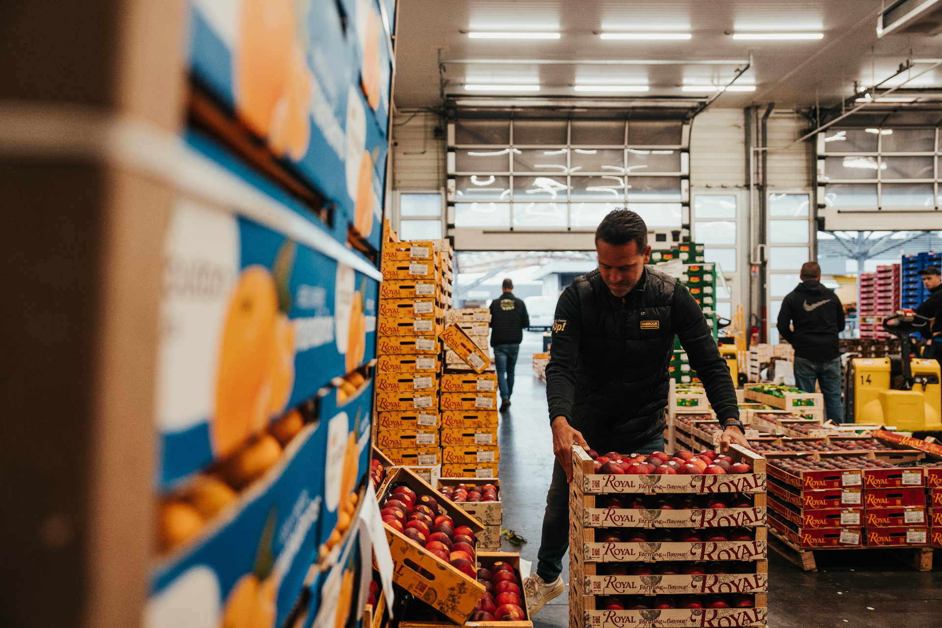 Sélection des fruits aux halles, au petit matin