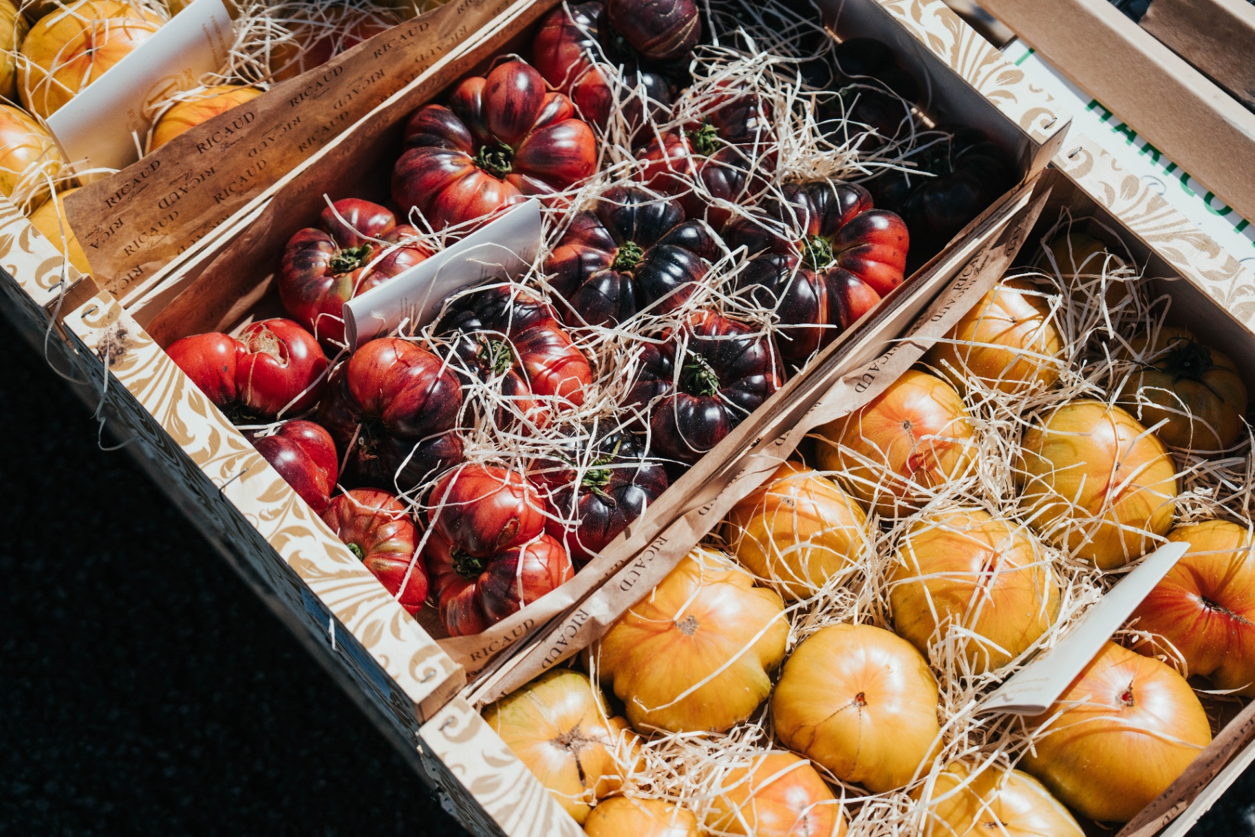 Cagettes de tomates anciennes multicolores sur paille