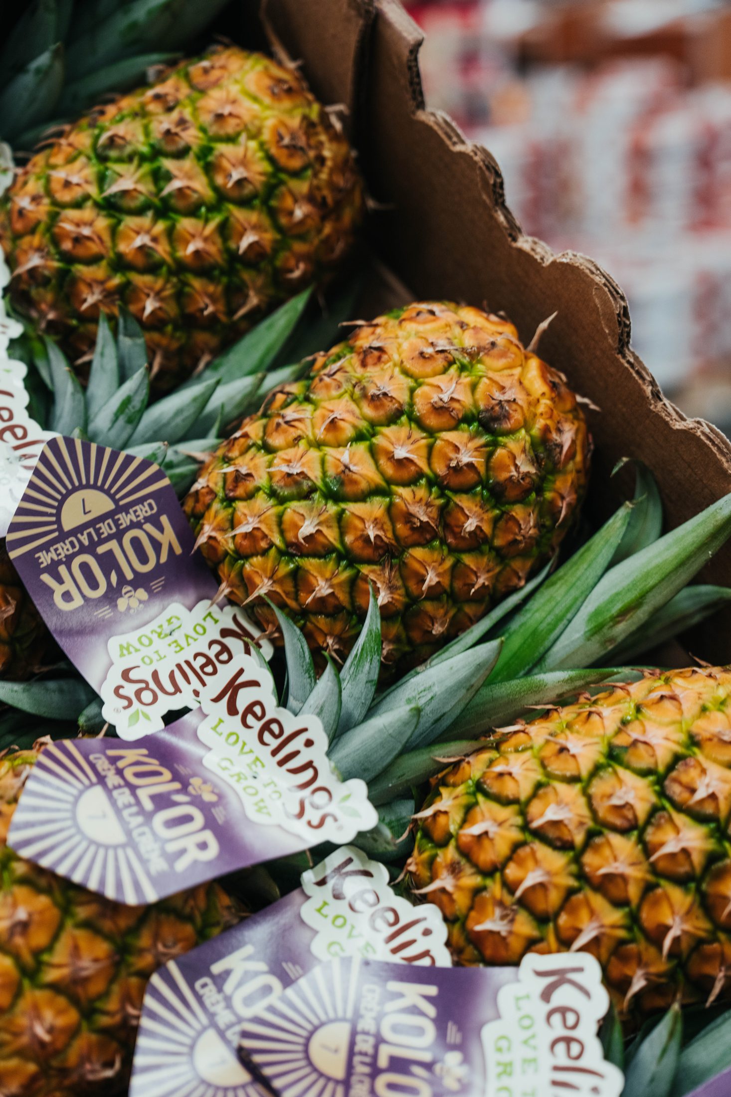Ananas Kol'Or fraîchement reçus